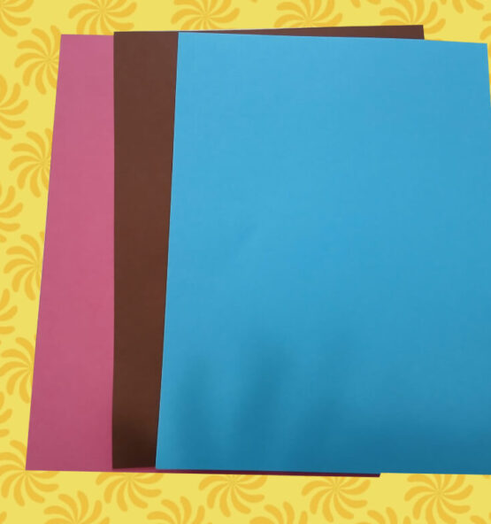 feuilles support rangement pictogrammes 555x592